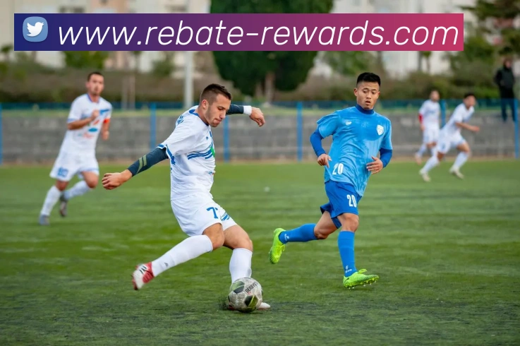 mk体育app官网登录入口平台生态图